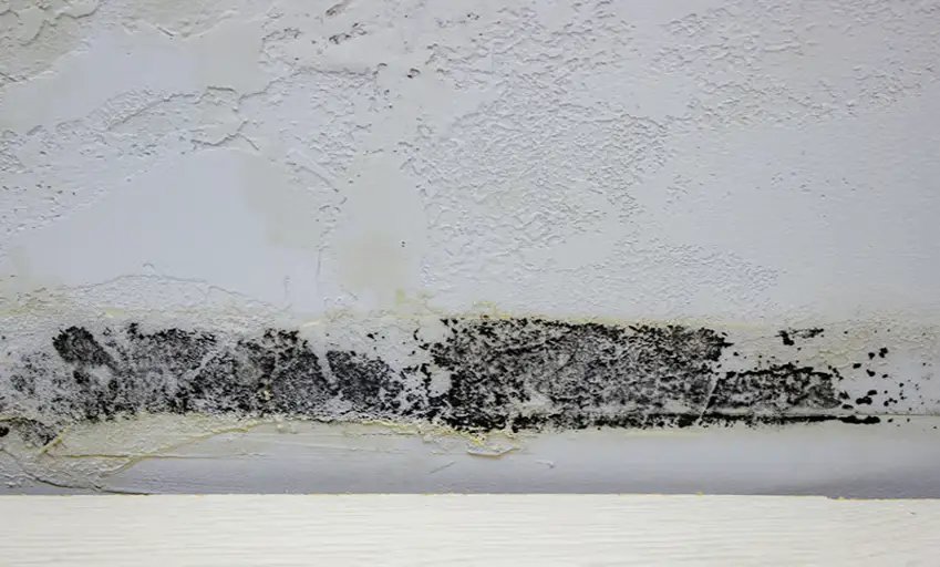 Severe black mould growth on walls and ceiling in a typical London Victorian rental property